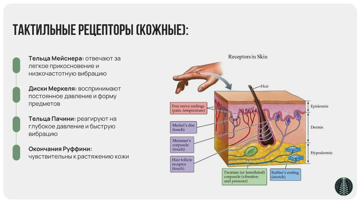 Материал курса 1